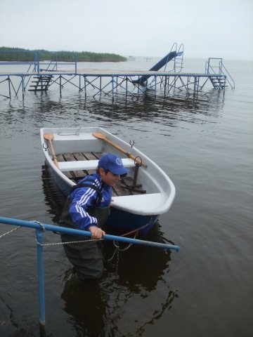 Balaton - szabadprogramok