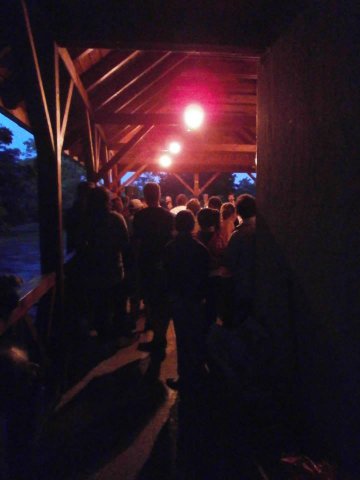 BNV koncert