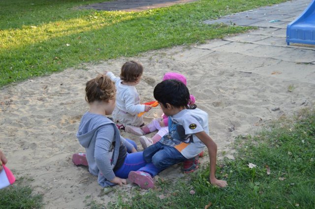 Szabad program
